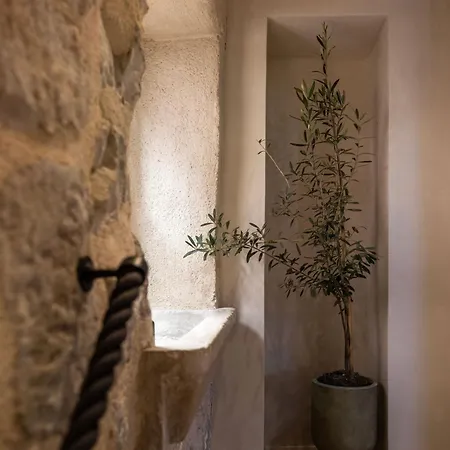 Πανσιόν Old Town Olive Luxury For 3 4*
